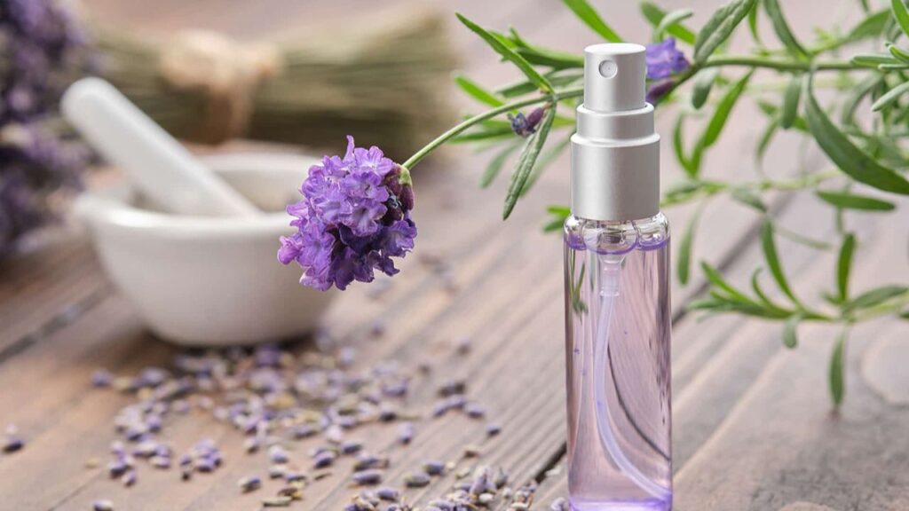 Understanding the Basics: What Is Hydrosol and Essential Oil? Understanding the Basics: What Is Hydrosol and Essential Oil?