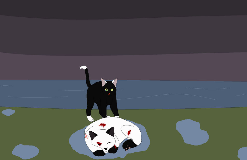 Who Was the Medicine Cat While Blackstar Was Leader: Unveiling the Intricate Clan History